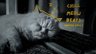 Chill Meow Beats Official Audio Aaryan Ghule, Aahana Ghule, Rohan Ghule