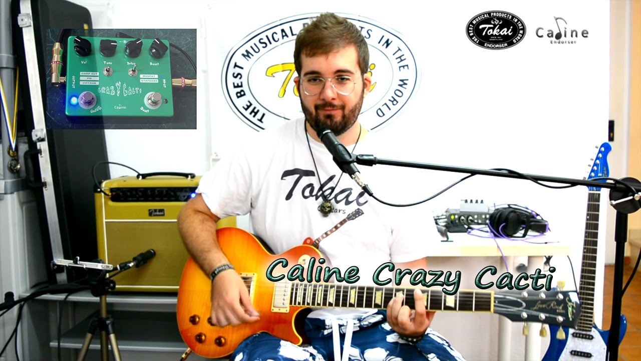 Caline Crazy Cacti | Review en Español - YouTube