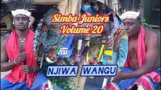 Simba Juniors _ Njiwa Wangu (Official Audio)