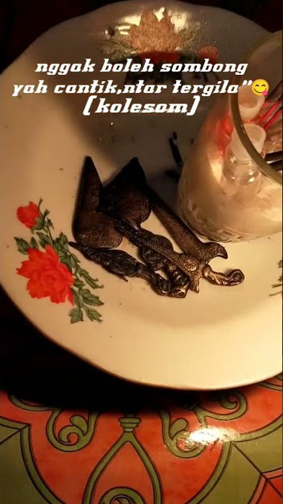 #storywa #pelet #semar #sapdopalon  STRY WA CINTA DI TOLAK #SEMAR BERTINDAK!!!😅