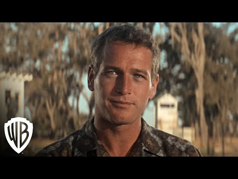 Cool Hand Luke Movie 1967