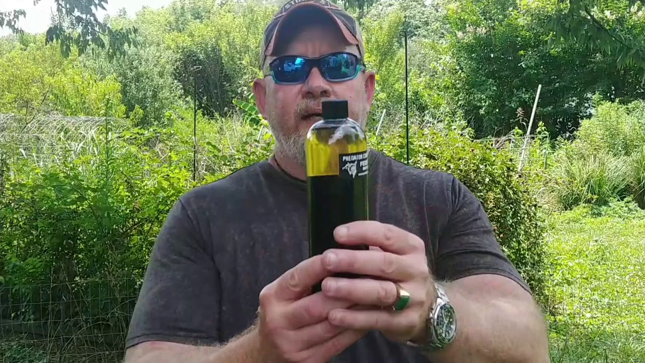 FTA demo and Federales Bait Solution for trapping coyotes YouTube
