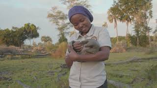 Famous Gorongosa National Park, Mozambique: Inside the fight to save precious pangolins Net Worth
