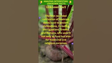 Surprising Facts About Beetroot You Never Knew! #shorts #beetroot #facts #youtubeshorts #viral #yt