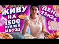 ЖИВУ НА 1500 РУБЛЕЙ МЕСЯЦ. ДЕНЬ 23 и 24. КАК ОТМЕТИЛА ПАСХУ.