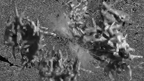 Æthereal Arthropod - Eupnoi