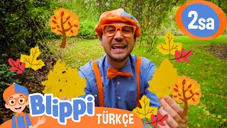Blippi Ile Doğa, Mevsimler Ve Renkler Blippi Türkçe - Çocuklar Için Eğitici Videolar