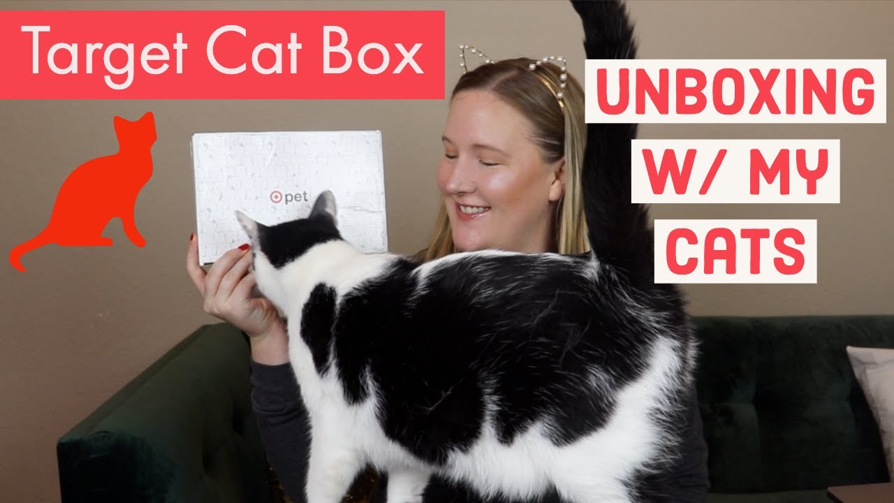 target cat box