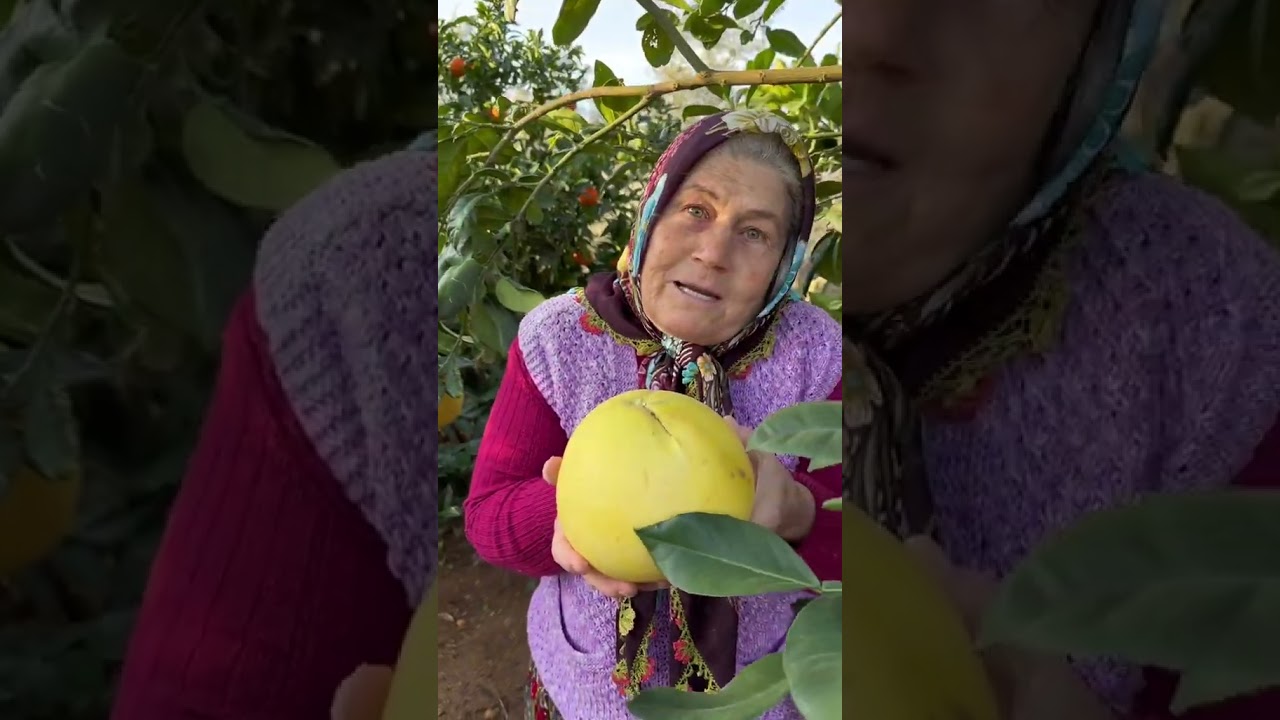 ÜMMİYE TEYZE | #komedi #köy #yemek #yemektarifleri #köyhayatı #köy #karpuz ÜMMİYE TEYZE | #komedi #köy #yemek #yemektarifleri #köyhayatı #köy #karpuz