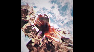 Rip Roach - Naruto [ Edit/AMV ] Alight Motion Xan Rotation Pf/Preset? #aftereffects #alightmotion