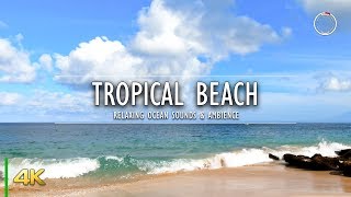 Tropical Beach Ambience | Ocean Wave Ambient Sounds | Relaxing 4K Nature Video | OmniHour