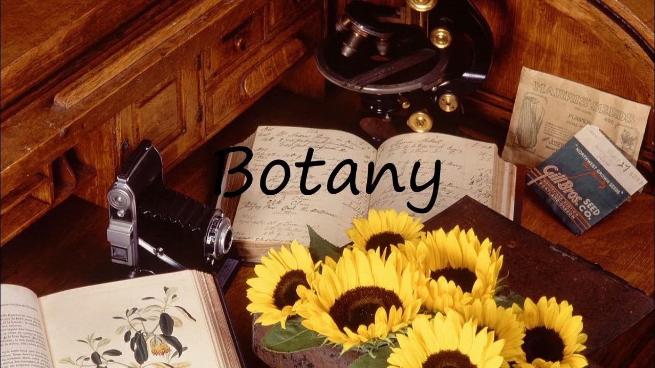 How to pronounce Botany in English? YouTube