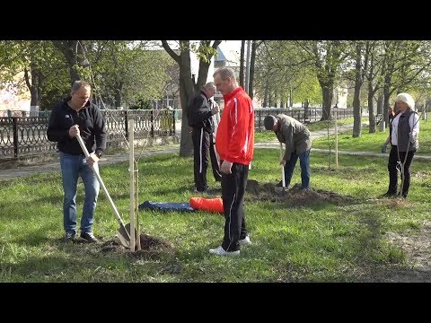 Озеленение города. Аппаратное совещание