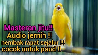 Download Mp3 Masteran Kenari Gacor Kongslet Nembak Sejalur Durasi Panjang Cengkok Unik || cocok untuk terapi paud Gudang lagu Download Mp3 Masteran Kenari Gacor Kongslet Nembak Sejalur Durasi Panjang Cengkok Unik || cocok untuk terapi paud