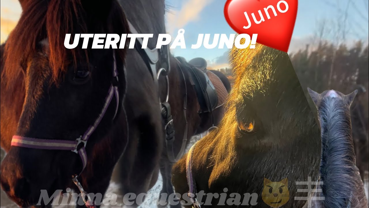 UTERITT||som vanligt med syrran @equestrian-Agnes ❤️❤️