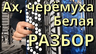 АХ, ЧЕРЕМУХА БЕЛАЯ  - Разбор на Баяне