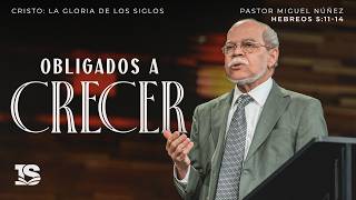 Forced to Grow: The Danger of Spiritual Childhood - Pr. Miguel Núñez | La IBI In The Beginning God Pastor Miguel Núñez La Ibi