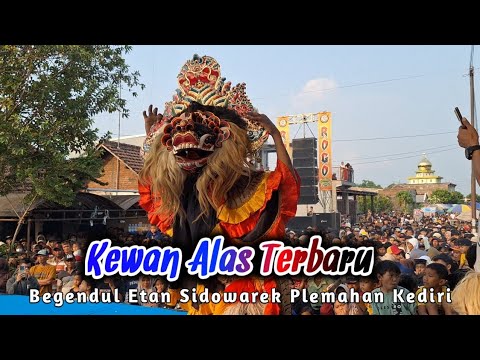 KEWAN ALAS TERBARU FULL - ROGO SAMBOYO PUTRO | Begendul Etan Plemahan Kediri