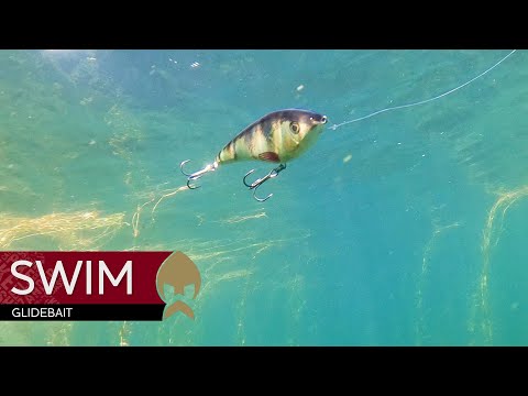 Westin Swim Glidebait video