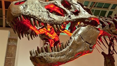 Don Patton - the Creation Model vs Evolution Model (all videos 1-7)