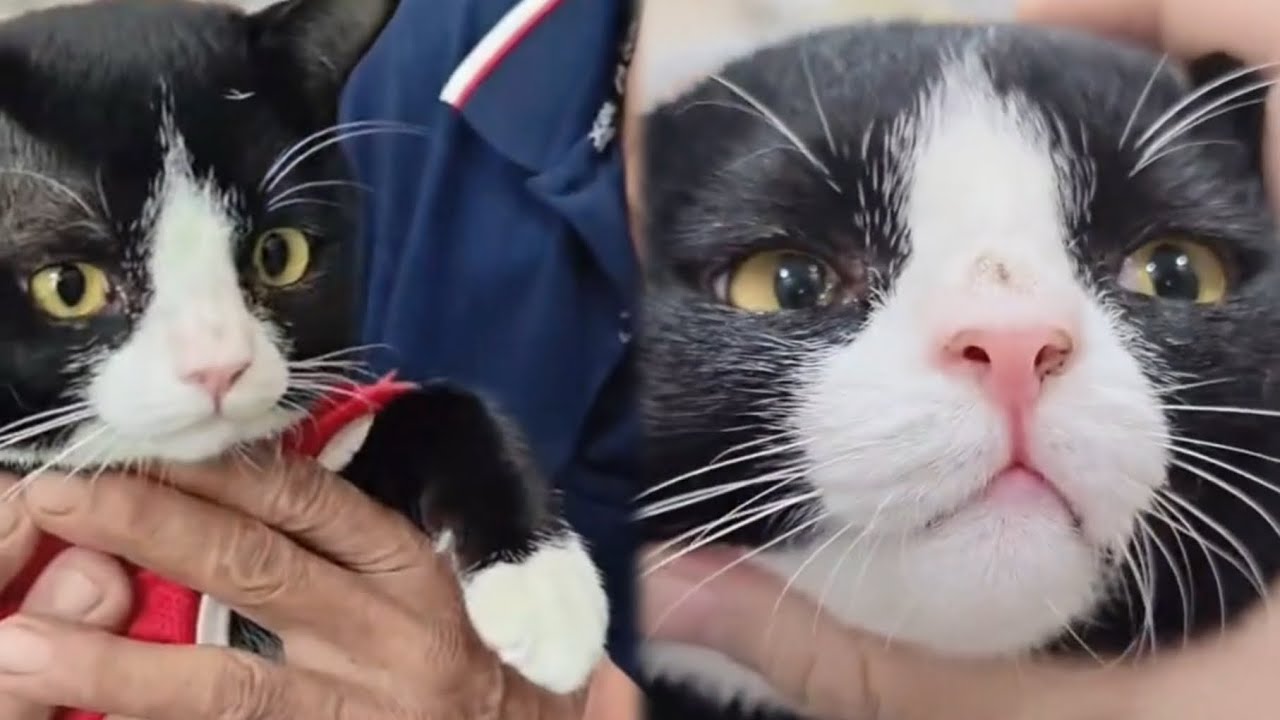 หน้าตึง หูบิน จนจะลอยละสมโชค บอกรักคุณหมอหน่อย Cr:หมอเนย์