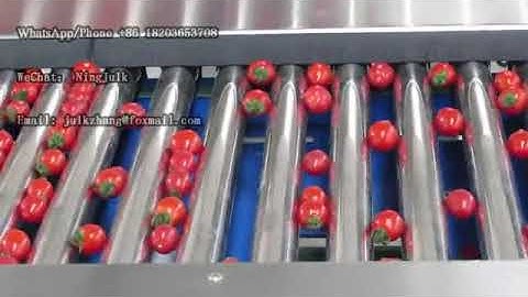 Cherry tomato sorting machine, Cherry tomato grading machine