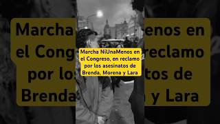 Marcha NiUnaMenos en el Congreso. #argentina #niunamenos #congreso #milei  #entrevista