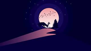 Night view of Nature Sky. Illustration Design in Adobe Illustrator.