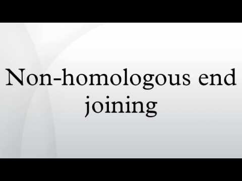 Video: Apakah pembaikan terarah homologi?