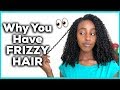 6 REASONS WHY YOUR HAIR IS FRIZZY (plus Tips & Tricks!) | CURLSMAS DAY 15 | Lydia Tefera