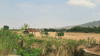 kampung pedesaan sore hari yang cerah