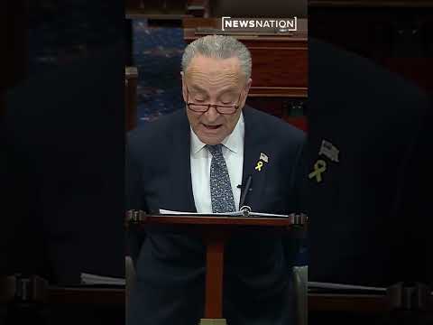 Senate Majority Leader Chuck Schumer calls for new elections in Israel