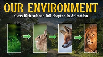 Our Environment full chapter (Animation) | Class 10 Science chapter 14 | CBSE | NCERT