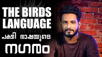 THE BIRDS LANGUAGE | WHISTLE LANGUAGE | TURKEY | THIRD EYE CREATES