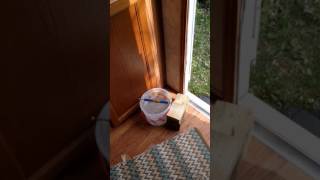 Campers mouse trap available on eBay. As log rolling lumberjack mouse trap.