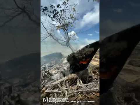 Доминикана / Очередной перехват 😀🇩🇴