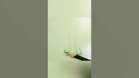 how to draw nose #shorts #nose