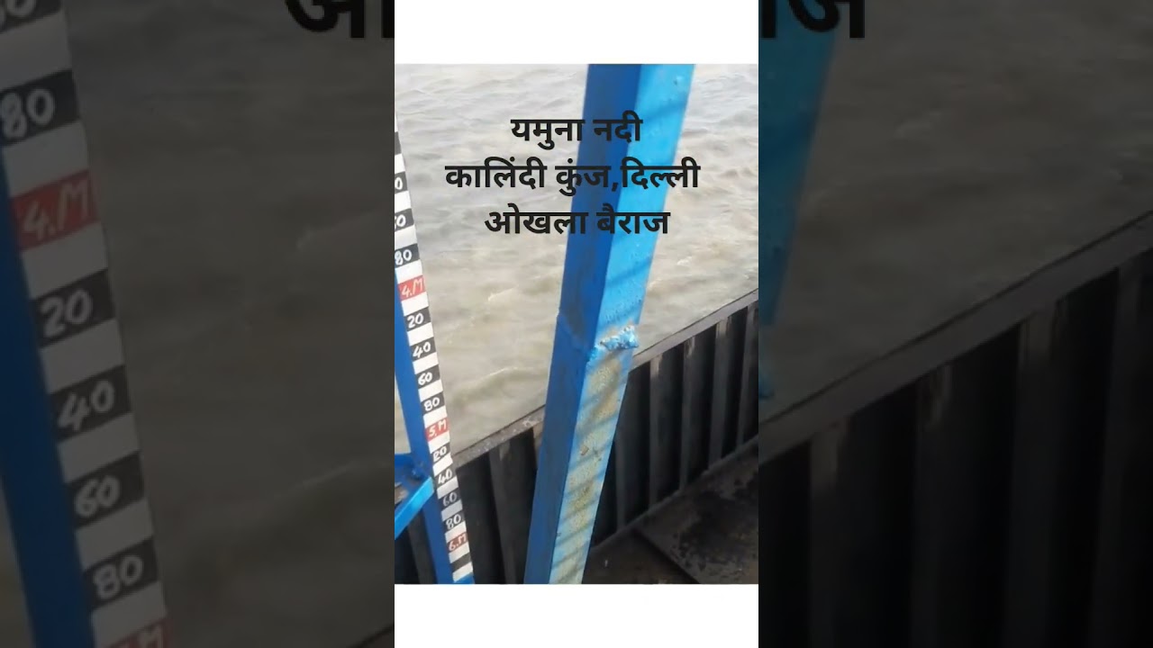 यमुना नदी। कालिंदी कुंज, दिल्ली। ओखला बैराज। दिल्ली नोएडा बॉर्डर।