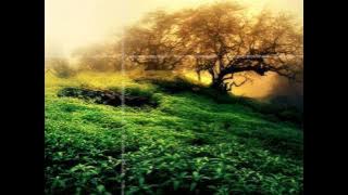 Magic Solutions  ft. Marisa Machado - Wet dreams (Javi Reina Rock Star Remix) (short edit)