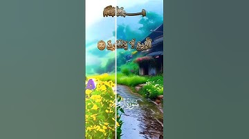 سوره الروم