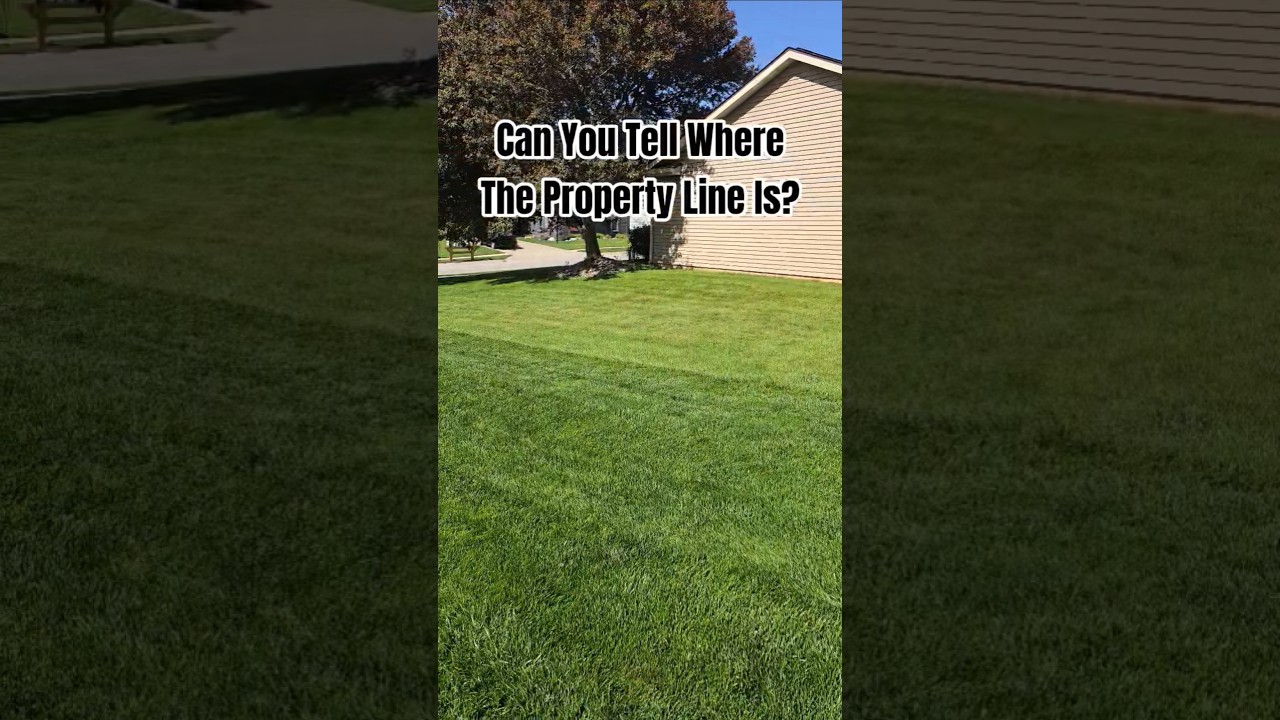 This Grass Seed Blend Is Actually Insane! #lawncare #lawn #shorts