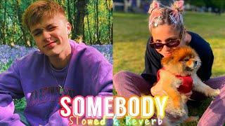 Sigala, HRVY & Nina Nesbitt - Somebody (Slowed & Reverb)