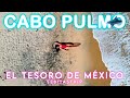 🌎🧜‍♂️👉El DESTINO de MIS SUEÑOS | CABO PULMO | El Tesoro Natural de México  @sebitastrip ​