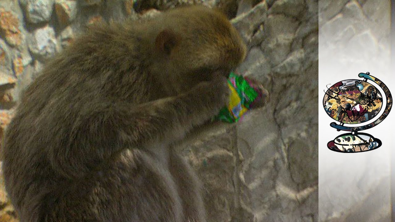 Gibraltar's Sovereignty Dispute and Drugs Smuggling (2007)