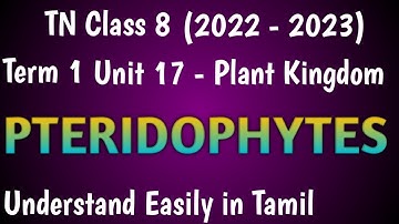 Pteridophytes, Classification and Economic Importance| Class 8 Term 1 Unit 17 Plant Kingdom