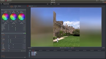Lightworks: How to Make A Vertical/Portrait Video With Blurred Background/Sides.