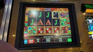 CATS BACK TO BACK BONUS @ BELLAGIO  $30 BET