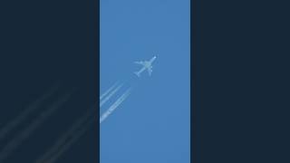 🇱🇺 Cargolux Boeing 747 at 41,000ft ✈️ #boeing #aviation #planespotting