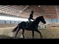 Kenora Indoor Show 2 0 Course Winter 2024 2025 Kenora Indoor Show 2 0 Course Winter 2024 2025
