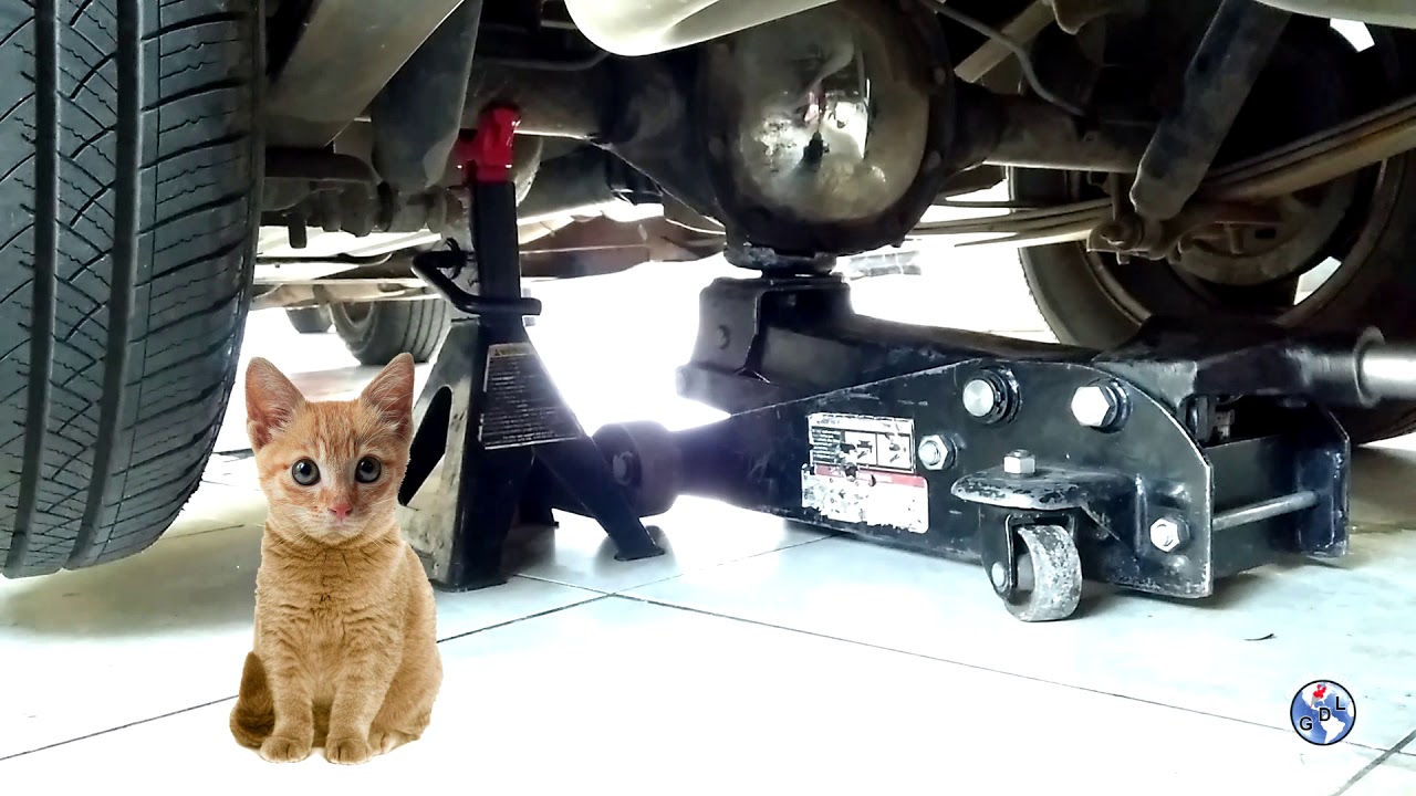 Como usar un jack (un gato) adecuadamente para levantar un carro! 